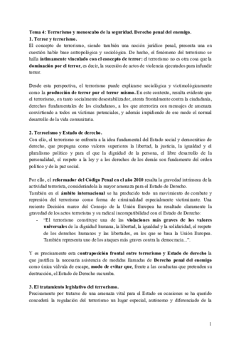 Tema-4-Terrorismo-y-menoscabo-de-la-seguridad.pdf