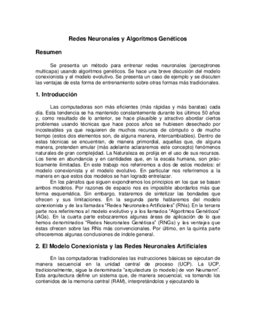 RedesNeuronalesyAlgoritmosGeneticos.pdf