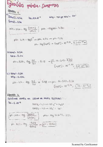 Quimica-Tema-5-Tampones.pdf