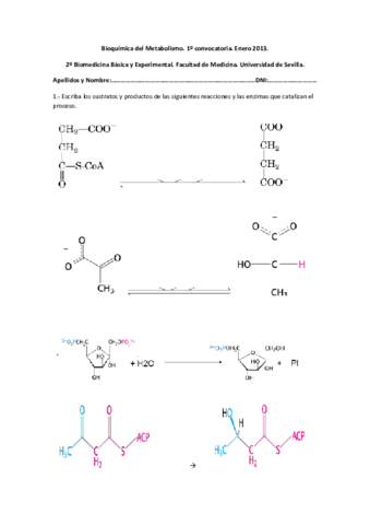 EXAMEN - MODELO (1).pdf