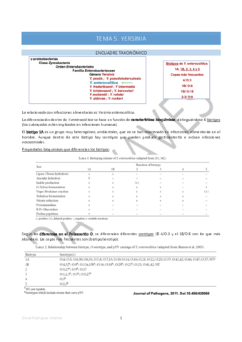 Tema-5-Yersinia.pdf