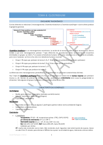 Tema-8-Clostridium.pdf