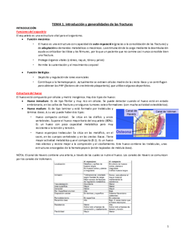 Tema-1.pdf