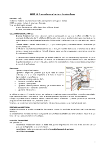 Tema-14.pdf
