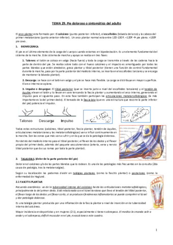 Tema-29.pdf