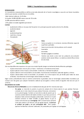 Tema-1.pdf