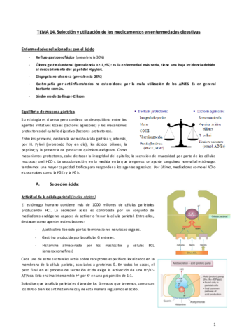 Tema-14.pdf