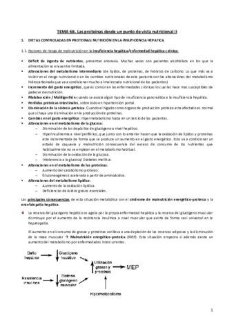 Tema-6B.pdf