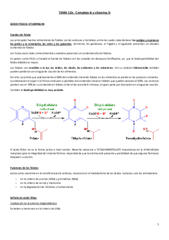 Tema-11b.pdf