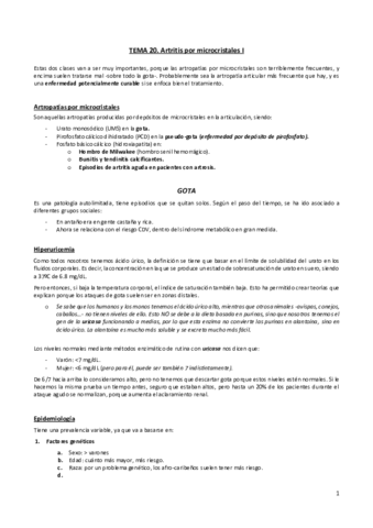Tema-20.pdf