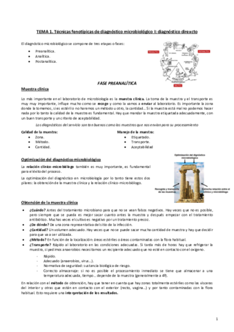 Tema-1.pdf