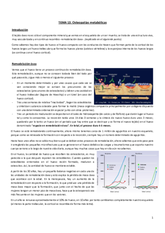 Tema-13.pdf