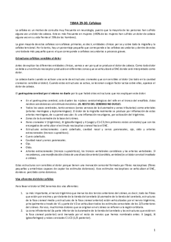 Tema-29-30.pdf