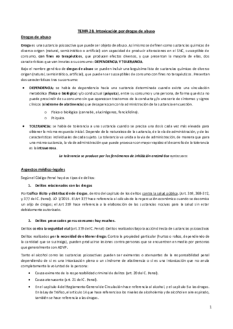 Tema-28.pdf