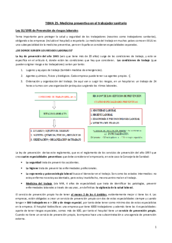 Tema-25.pdf