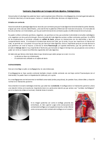 Seminario-digestivo.pdf