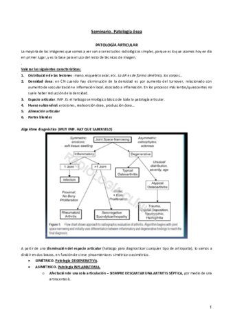 Seminario-patologia-osea.pdf