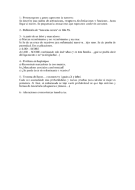 EXAMEN - FINAL (1).pdf