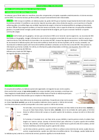 TEMA-2.pdf