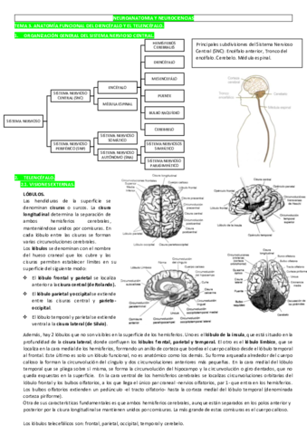 TEMA-3.pdf