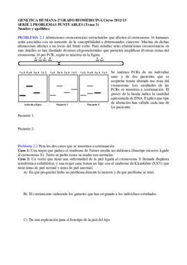 PROBLEMAS P3 (1).pdf