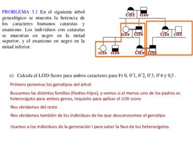 PROBLEMAS P4 - SOLUCIÓN LOD SCORE (1).pdf