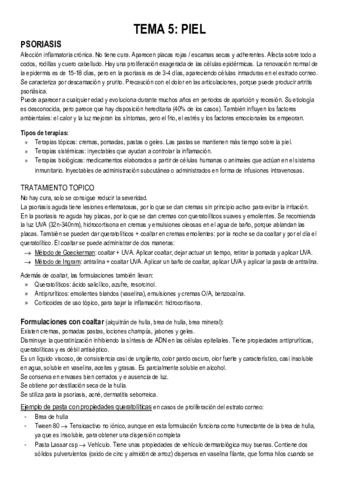 Formulacion-TEMA-5-piel.pdf