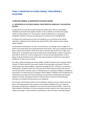 TEMA-11-BIOSINTESIS-DE-AGTRIGLICERIDOS-Y-COLESTEROL.pdf