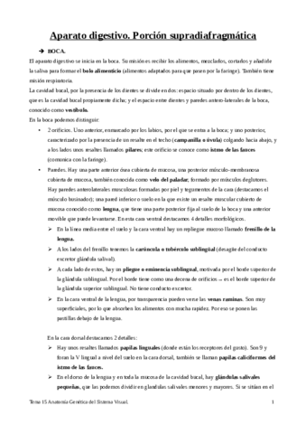 tema-15.pdf