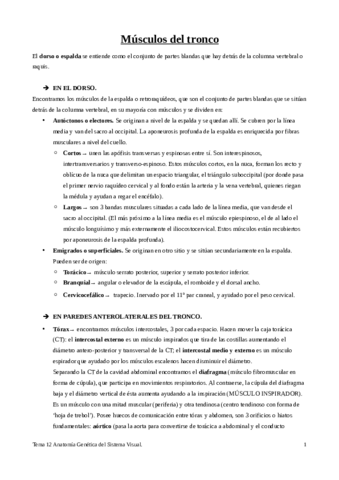 Tema-12-Musculos-del-tronco.pdf