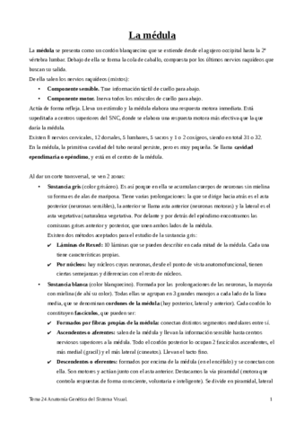 Tema-24-la-medula.pdf