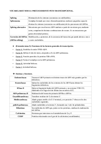 Vocabulario-tema-4.pdf