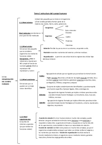 tema-1-estructura-del-cuerpo-humano.pdf