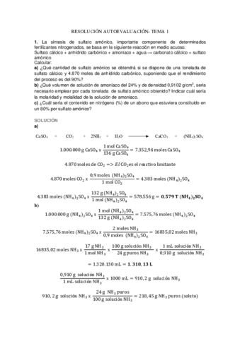 Resolucion-Autoevaluacion-Tema-1.pdf