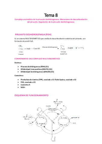 TEMA-8-RM.pdf