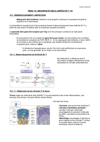 Apunts-Immunologia-Tema-10.pdf