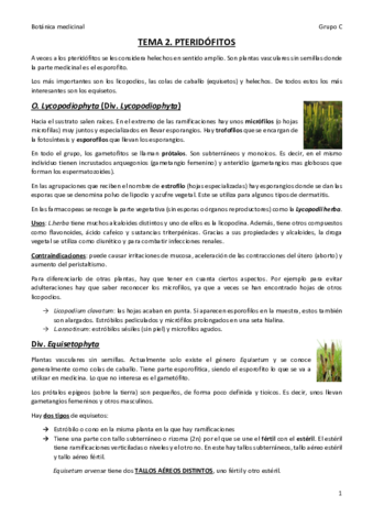 tema-2.pdf