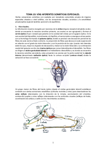 Tema-10-Vias-aferentes-somaticas-especiales.pdf