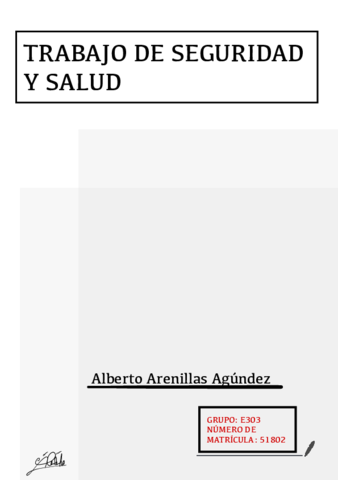 TRABAJO-SEGURIDAD-Y-SALUD.pdf