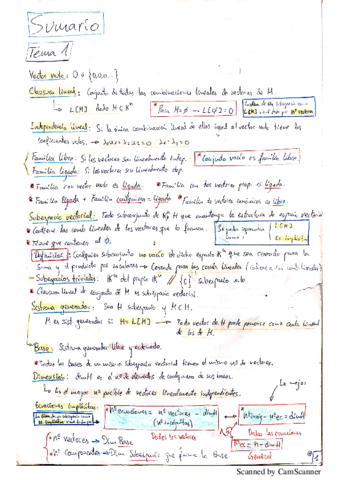 Resumen-Completo-Tema-1-Garrido.pdf