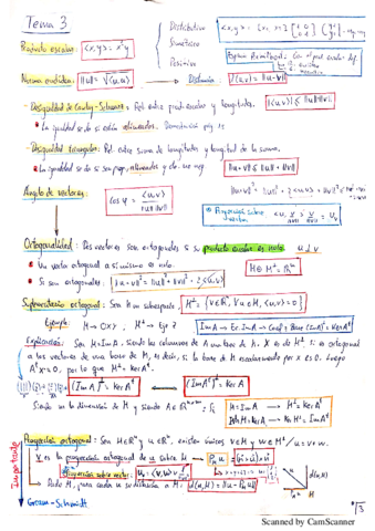 Resumen-Completo-Tema-3-Garrido.pdf