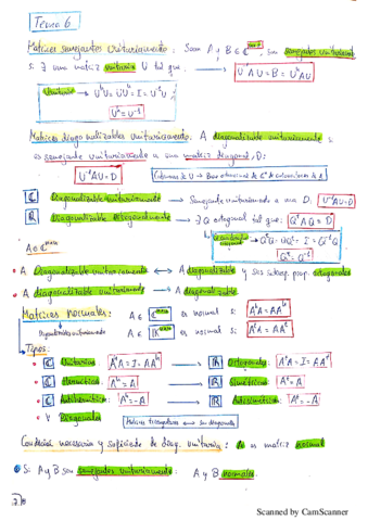 Resumen-Completo-Tema-6-Garrido.pdf