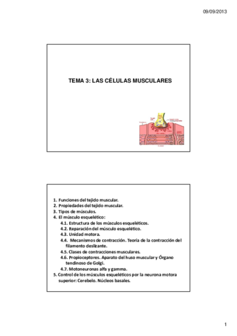 Tema-3-musculo.pdf