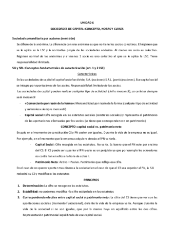 6-sociedades-de-capital.pdf