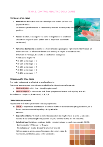 TEMA-3.pdf