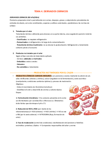 TEMA-4.pdf