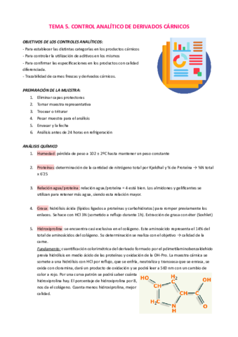 TEMA-5.pdf