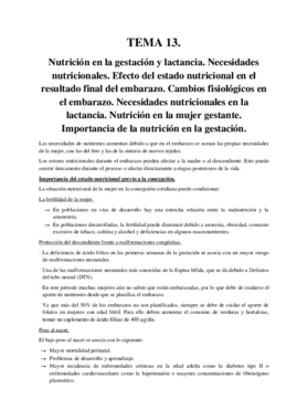 TEMA 13 fundamentos.pdf