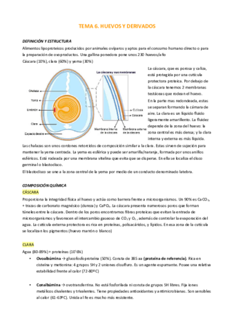TEMA-6.pdf