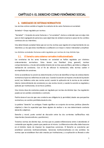 Cap-1-resumen.pdf